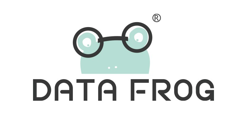 Data-Frog-Logo-Nam-Retro-Shop