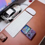 Miyoo Mini Plus